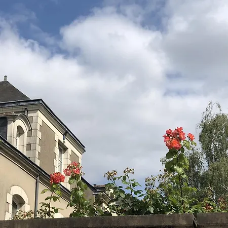 Maison Bout Du Monde Chateau Hyper Centre