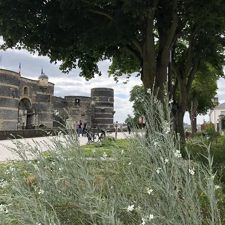 Maison Bout Du Monde Chateau Hyper Centre * Angers