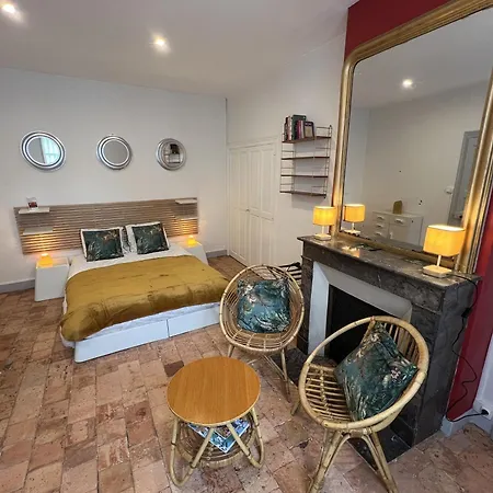 Maison Bout Du Monde Chateau Hyper Centre Appartamento Angers