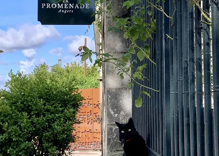 Maison Bout Du Monde Chateau Hyper Centre *