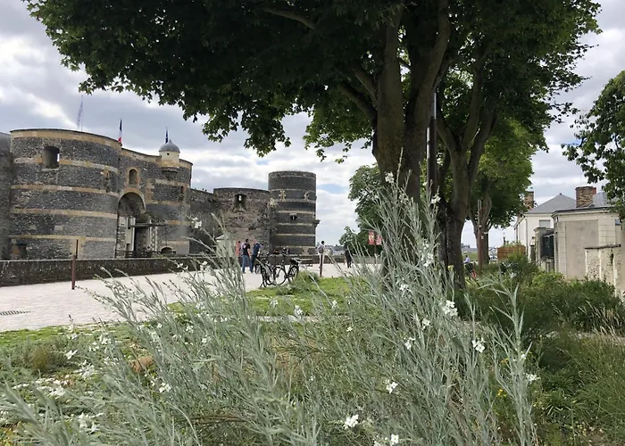 Maison Bout Du Monde Château Hyper Centre * Angers